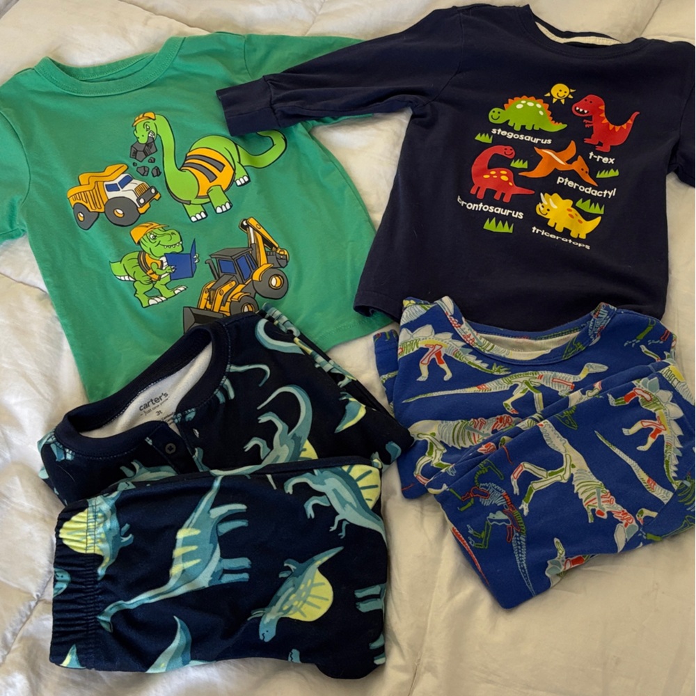 3T Boy’s Clothing - Dinosaur Bundle